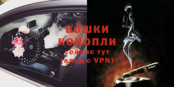 PSILOCYBIN Абаза