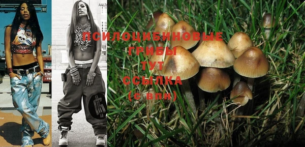PSILOCYBIN Абаза